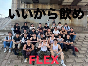 ㉗flex